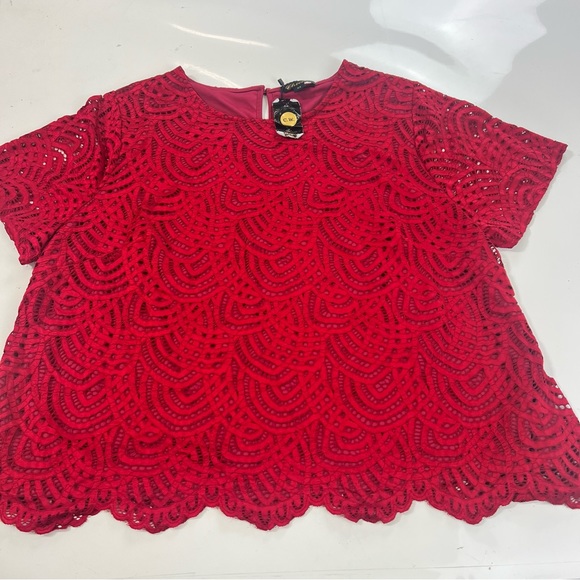 Tops - Chicwe women’s red shirt sleeve top 4X m138-17